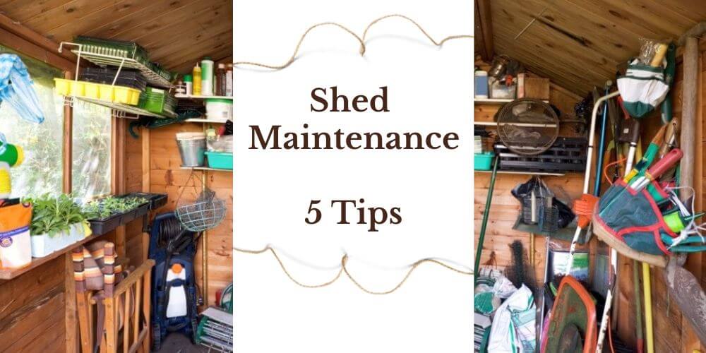 shed Maintenance tips