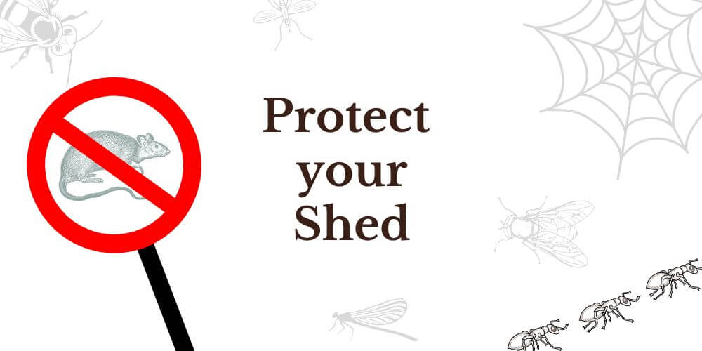 protect your shed from pests and rodents